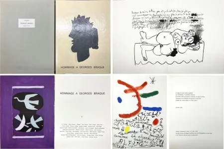 Geïllustreerd Boek Braque - 