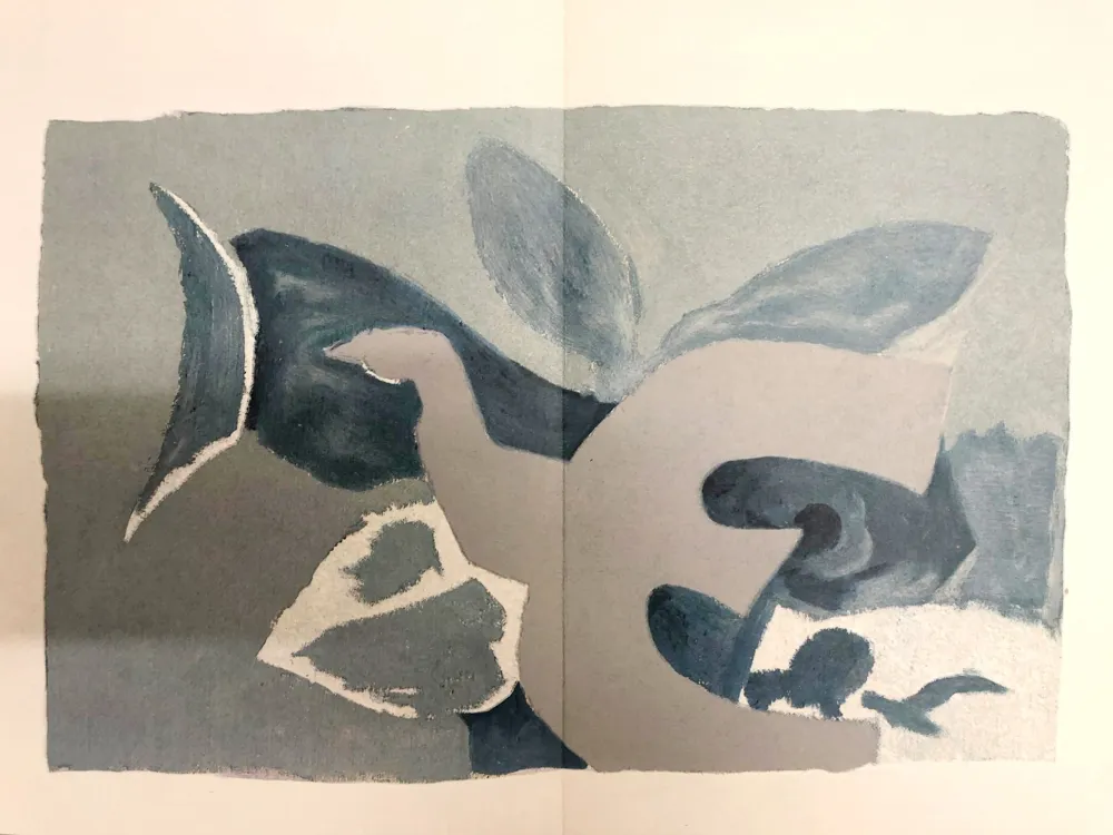Lithografie Braque - L’oiseau et son ombre