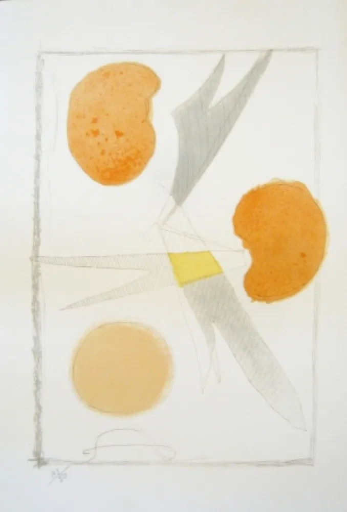 Lithografie Braque - Tirée de La liberté des mers