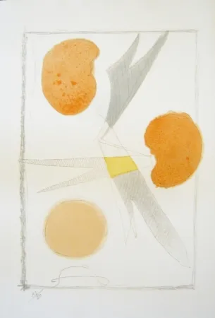 Lithografie Braque - Tirée de La liberté des mers