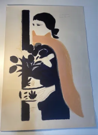 Geen Techniek Brasilier - L écharpe rose