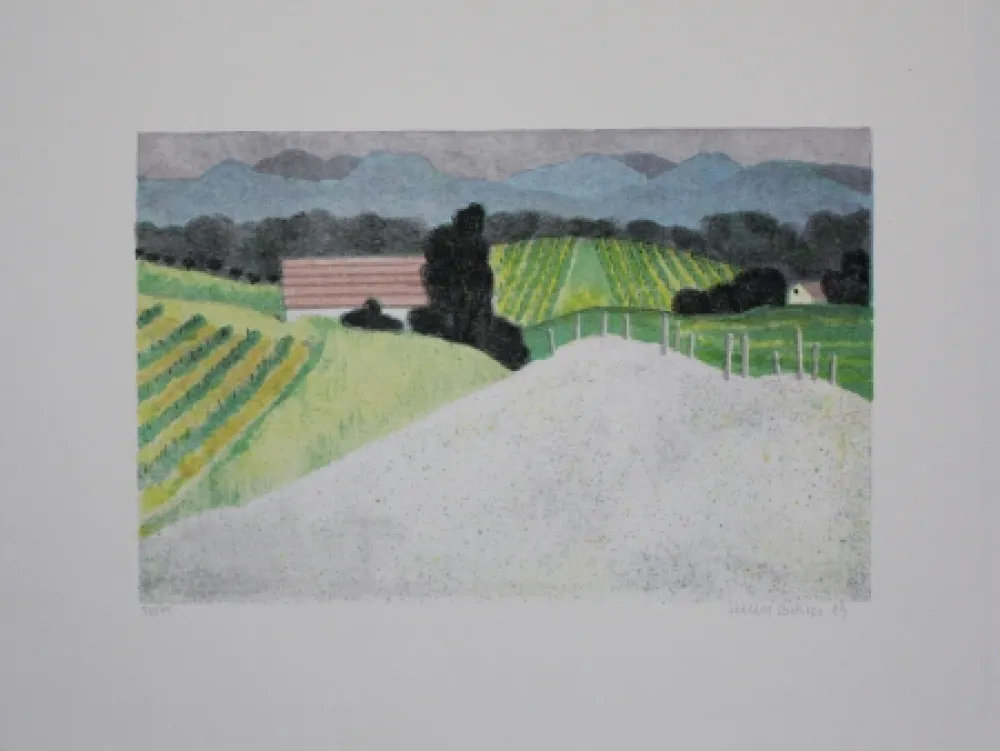 Lithografie Breiter - Landschaft / Landscape