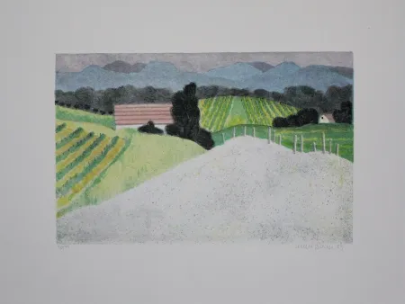 Lithografie Breiter - Landschaft / Landscape