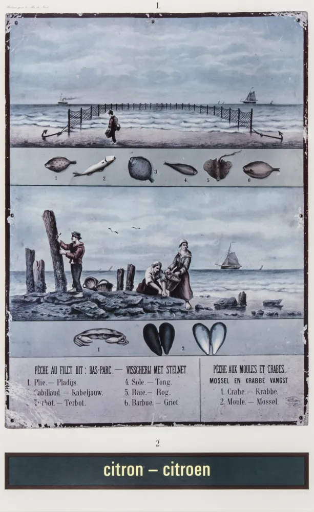 Zeefdruk Broodthaers - Citron - Citroen