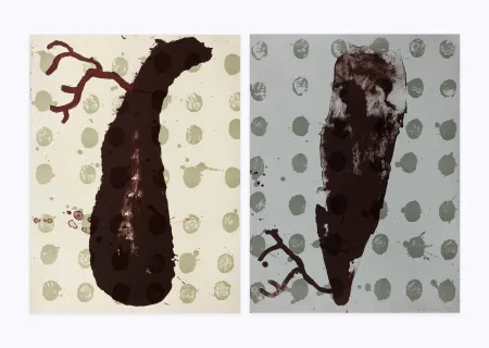 Lithografie Brown - Two cells diptyque