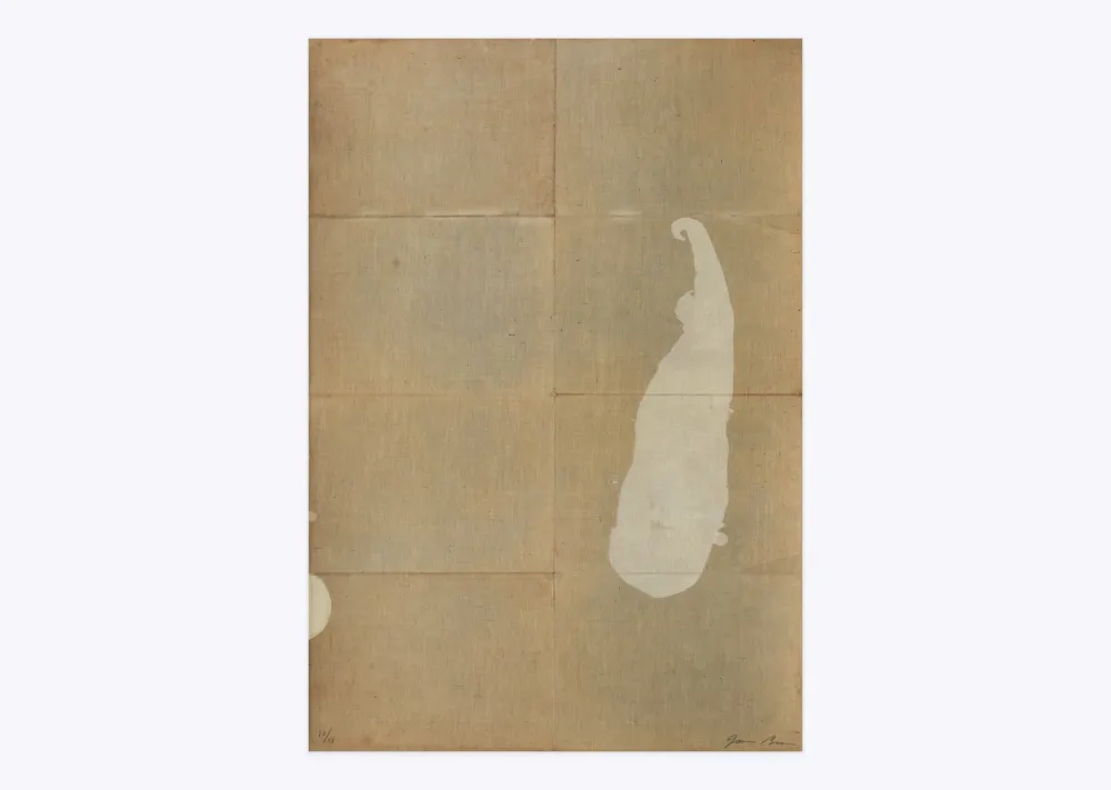 Lithografie Brown - White salt 