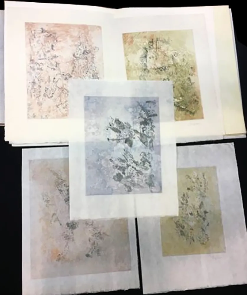 Geïllustreerd Boek Bryen - Tristan Tzara. VIGIES. 5 eaux-fortes originales (1962).