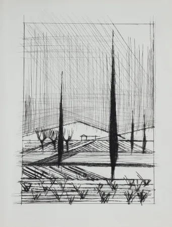 Droge Naald Buffet - Naples, ca