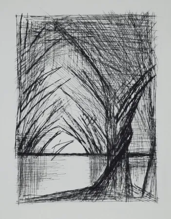 Droge Naald Buffet - Naples, ca.