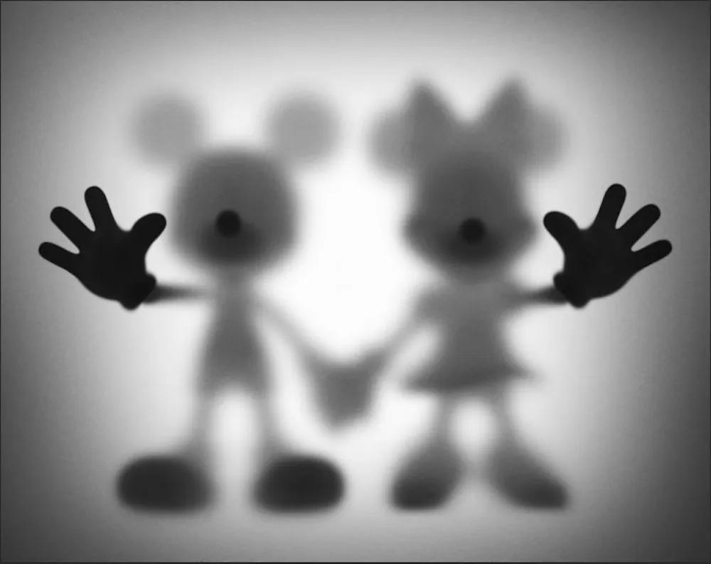 Digitale Print Burdon - Gone Mickey and Minnie