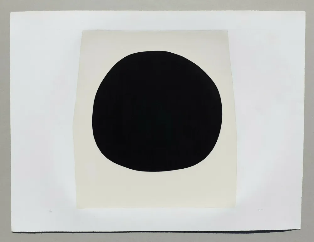 Lithografie Burri - Bianchi e neri I - Tavola F