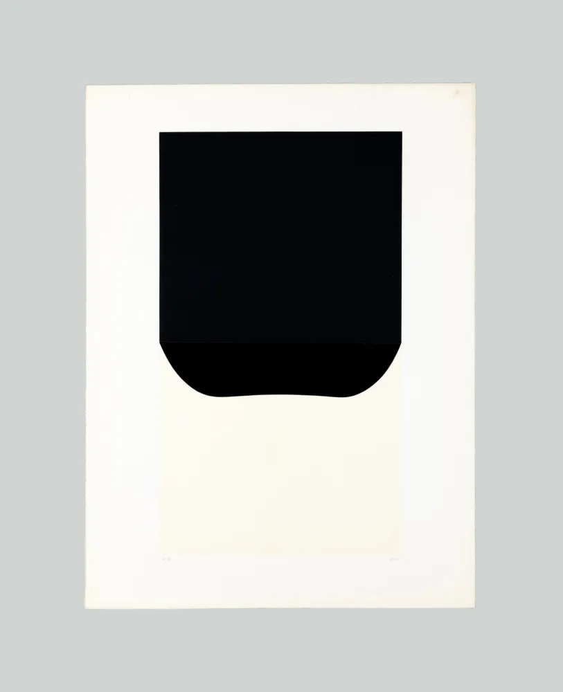 Lithografie Burri - Bianchi e neri II-D