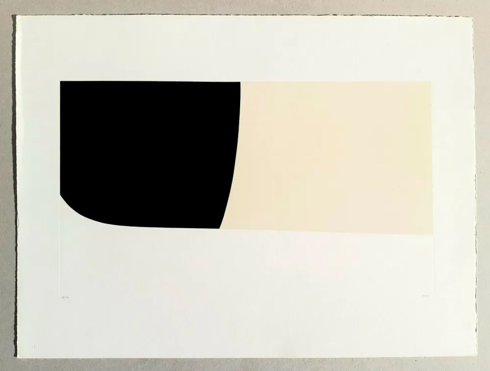 Lithografie Burri - Bianchi e neri II