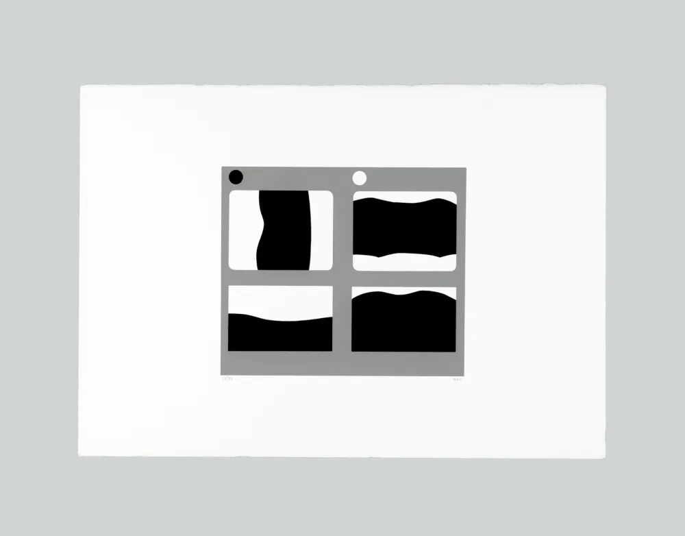 Zeefdruk Burri - Lettere C