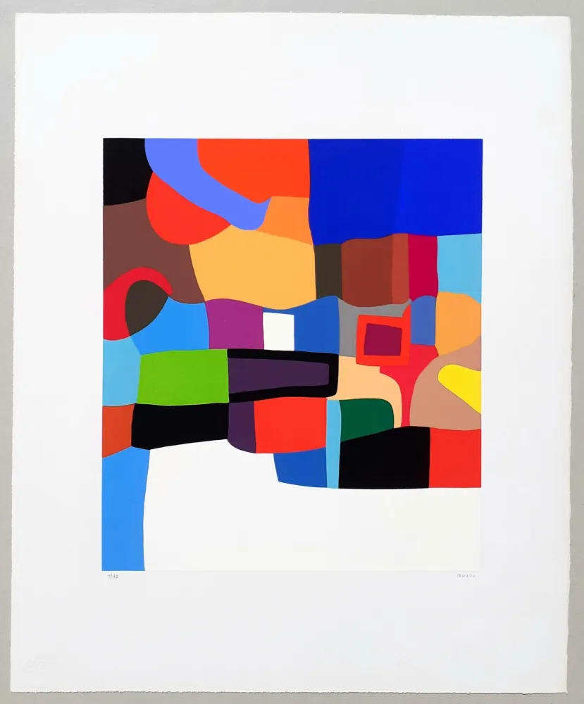 Zeefdruk Burri - Serigrafia 2-D