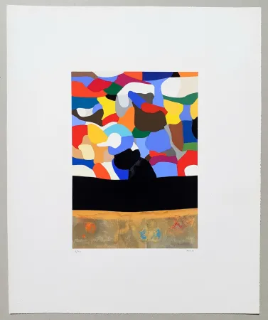 Zeefdruk Burri - Serigrafia 3-D