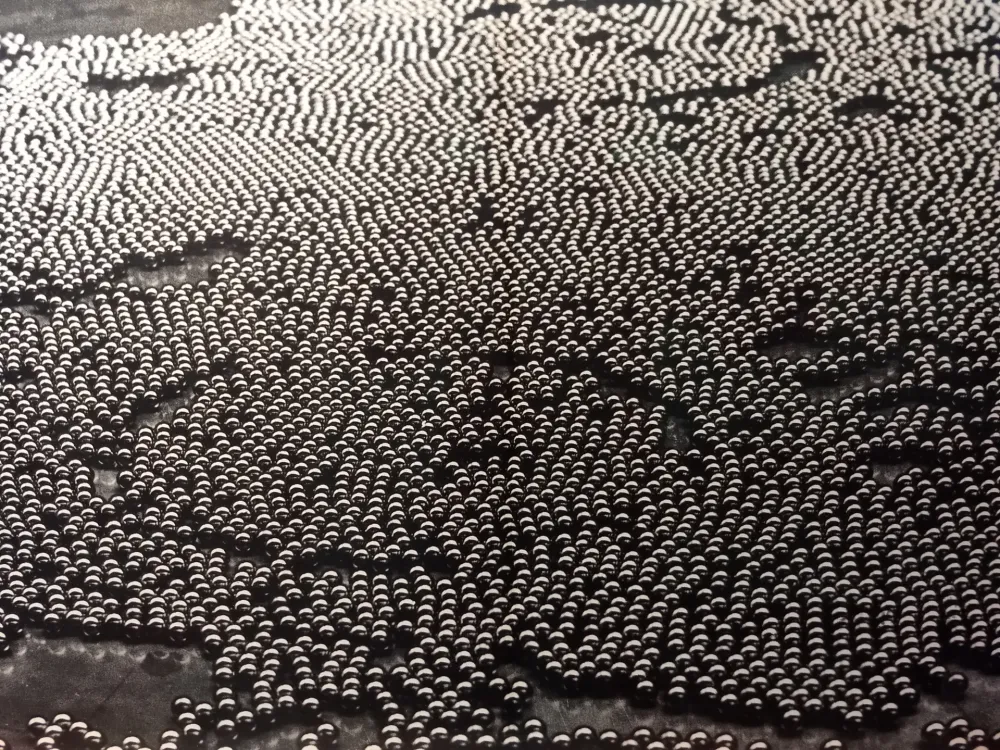 Geïllustreerd Boek Bury - DLM 191