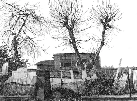 Ets Cacciarini - Alberi