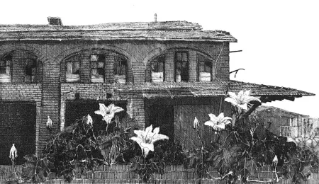 Ets Cacciarini - Il giardino della fabbrica