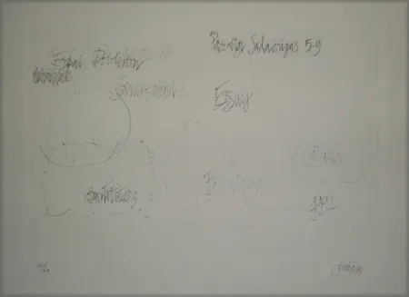 Lithografie Cage - Essays