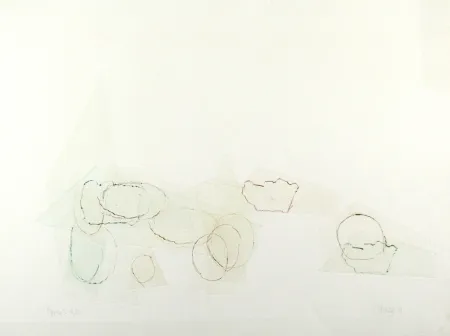 Droge Naald Cage - Ryoku 2