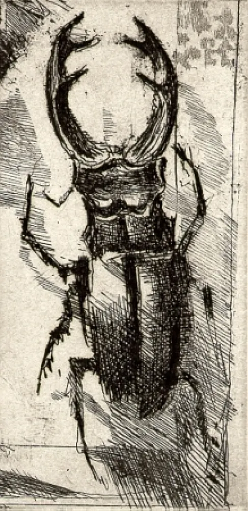 Geïllustreerd Boek Calandri - Ballades et Rondeaux du Testament Villon