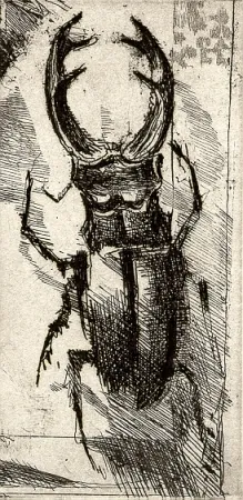 Geïllustreerd Boek Calandri - Ballades et Rondeaux du Testament Villon