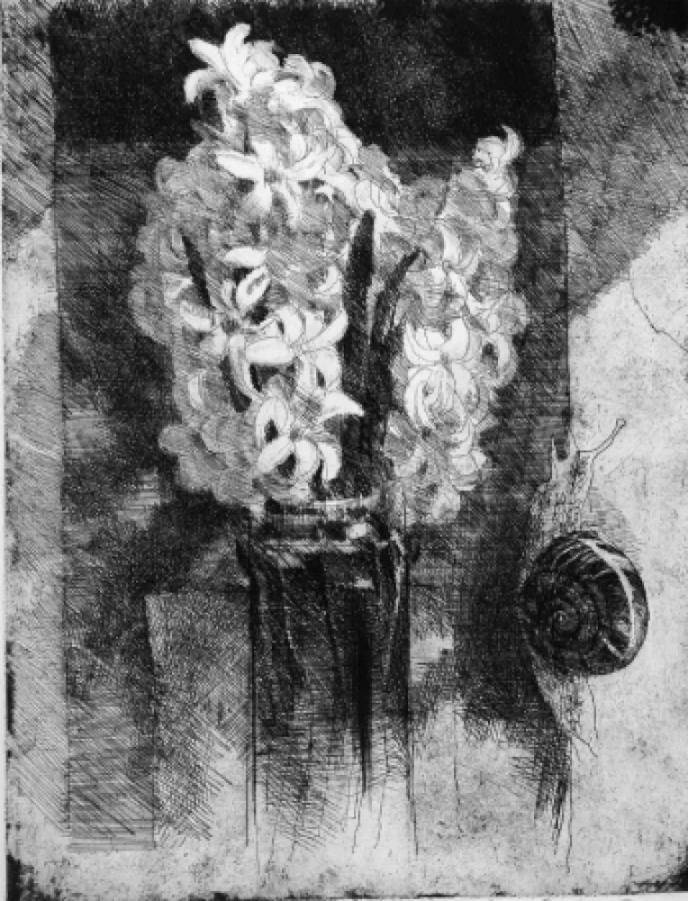 Ets Calandri - Giacinti