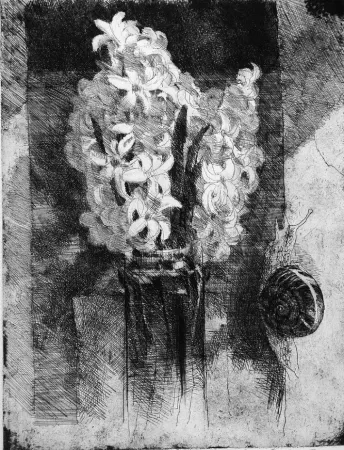 Ets Calandri - Giacinti