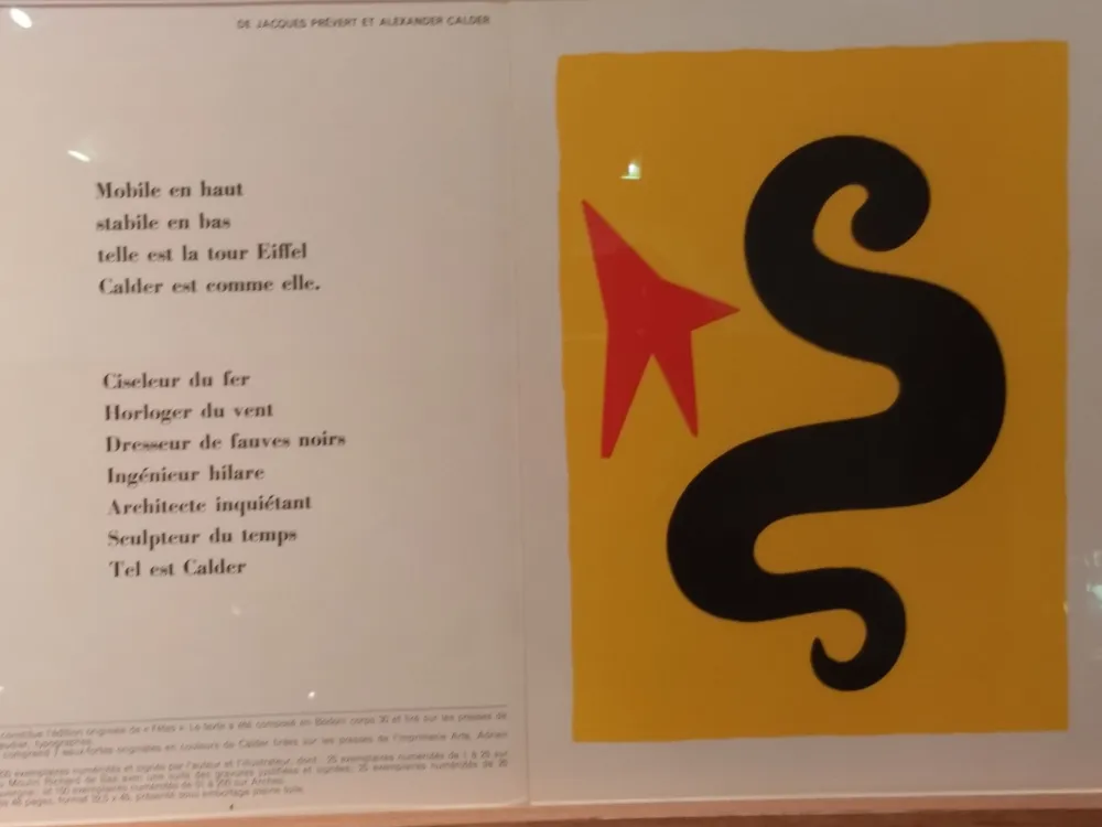 Geïllustreerd Boek Calder (After) - DLM195