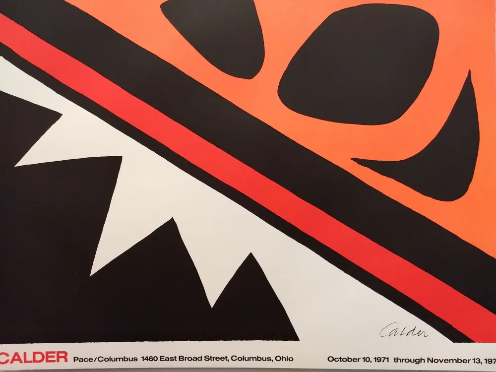 Geen Techniek Calder (After) - Pace