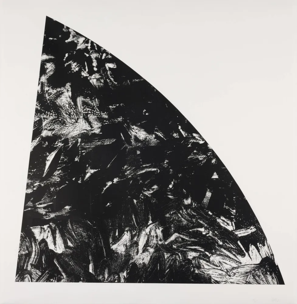 Lithografie Calder - Baie Rouge