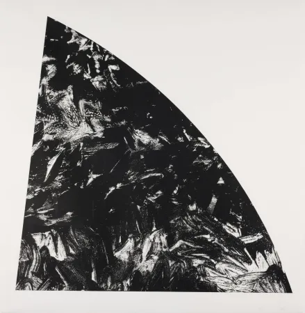 Lithografie Calder - Baie Rouge