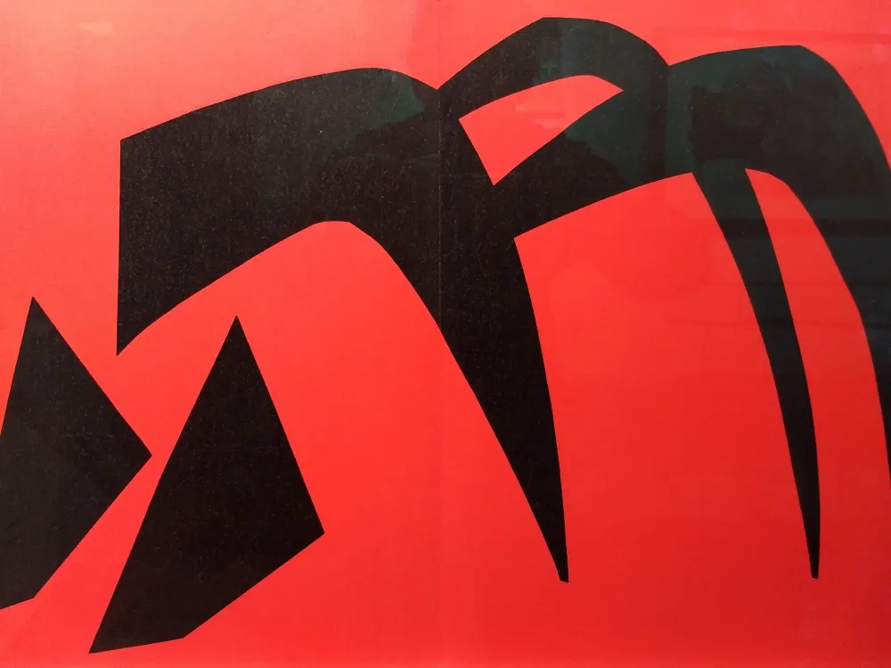 Geïllustreerd Boek Calder - DLM 113