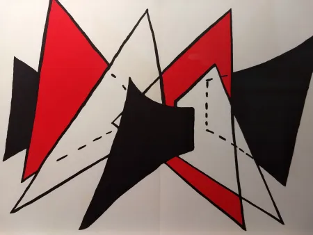 Geïllustreerd Boek Calder - DLM 141