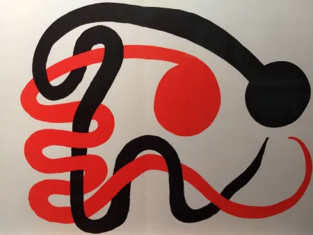 Geïllustreerd Boek Calder - DLM 201