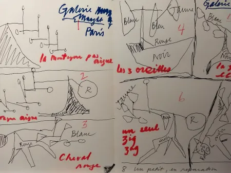 Geïllustreerd Boek Calder - DLM 248