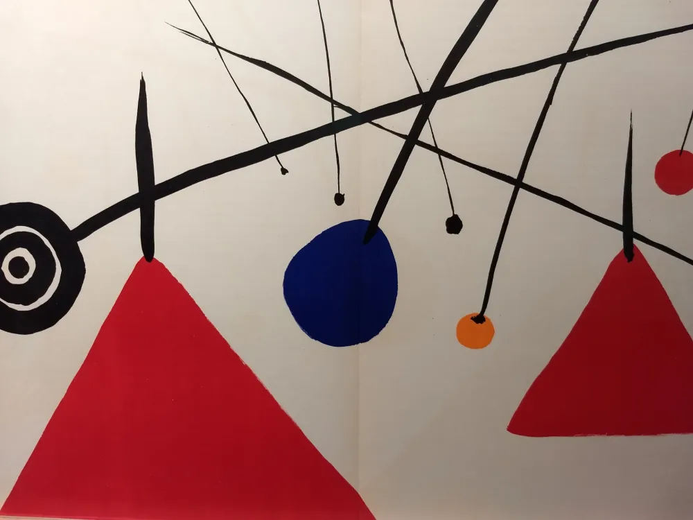 Geïllustreerd Boek Calder - DLM 69-70