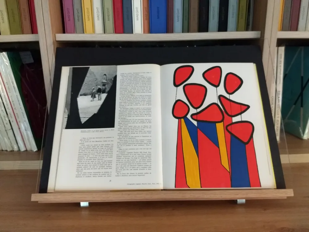 Geïllustreerd Boek Calder - Hommage