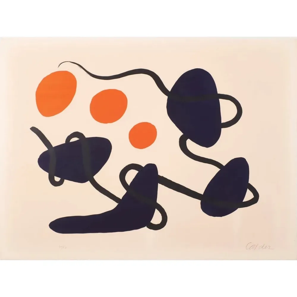 Lithografie Calder - The Black Line