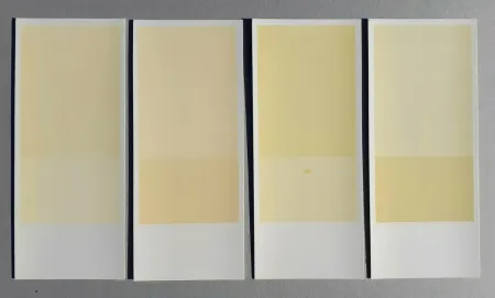 Lithografie Calderara - Misura, luce, colore