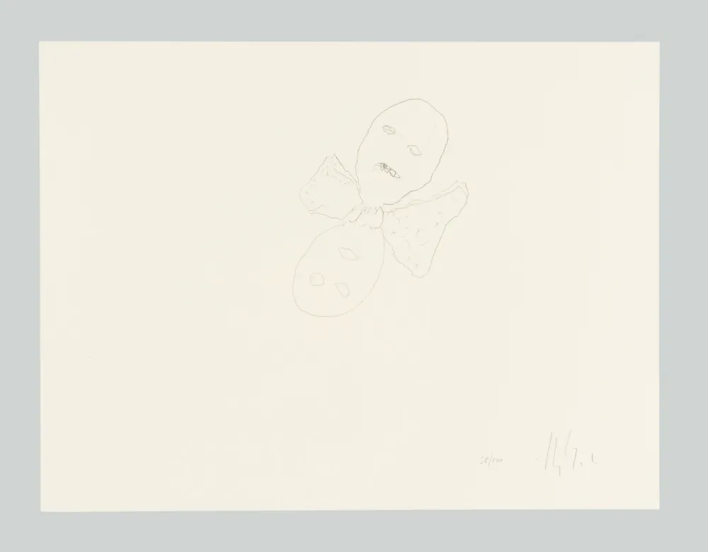 Lithografie Calzolari - Senza titolo