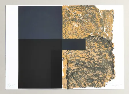 Zeefdruk Canogar - Composizione