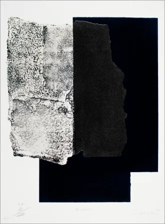 Zeefdruk Canogar - Estrato