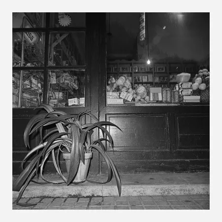 Fotografie Canovas - ACHING PLANTS - 1