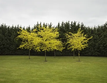 Fotografie Canovas - SEVENTH HEAVEN - 1