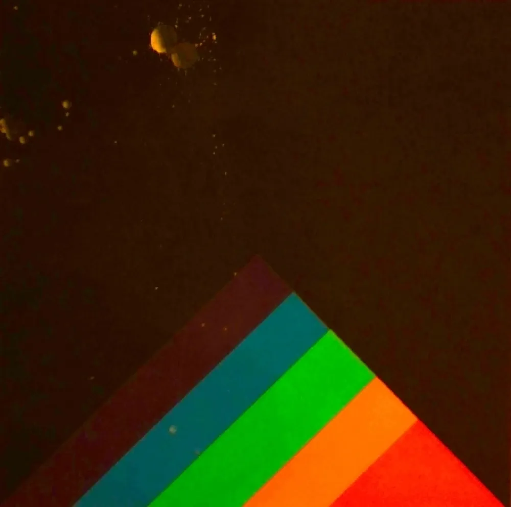 Zeefdruk Carmi - SENZA TITOLO