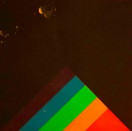 Zeefdruk Carmi - SENZA TITOLO