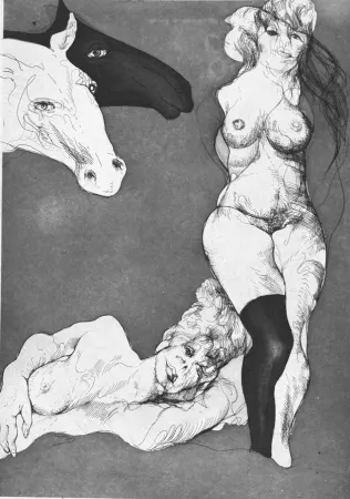 Ets Carrera - Cavalli curiosi