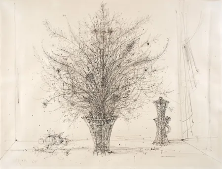 Geen Techniek Carzou - 